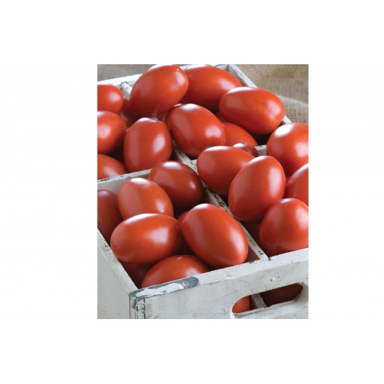 Granadero - Organic (F1) Tomato Seed