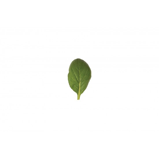 Green Giant (F1) - Komatsuna Seeds