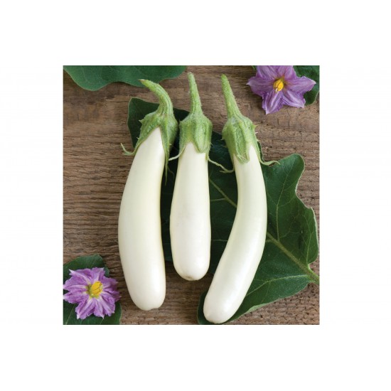 Gretel - (F1) Eggplant Seed