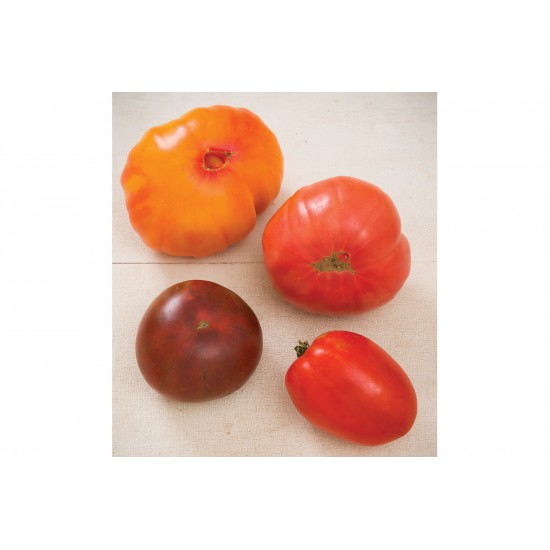 Heirloom Tomato Collection - Organic Seed