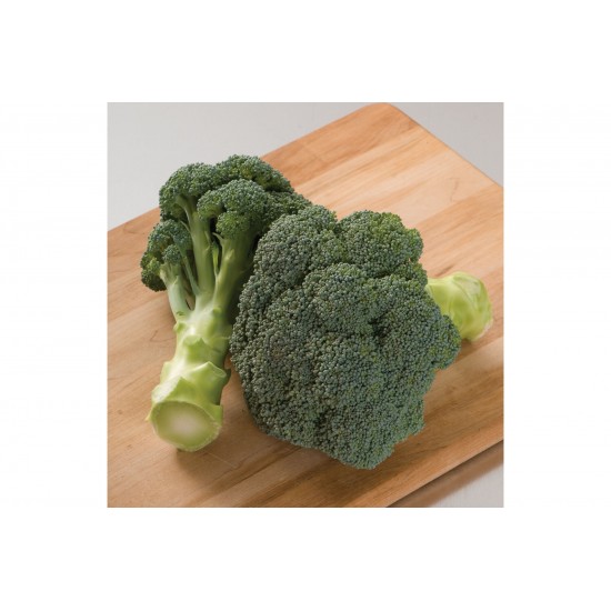 Imperial - (F1) Broccoli Seed