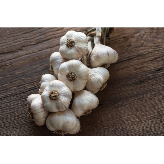 Inchelium Red - Organic Garlic Bulbs