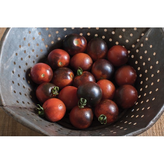 Indigo Cherry Drops - Organic Tomato Seed