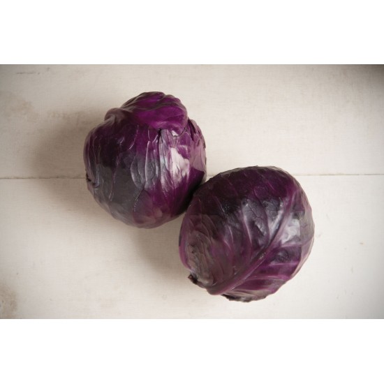 Integro - Organic (F1) Cabbage Seed