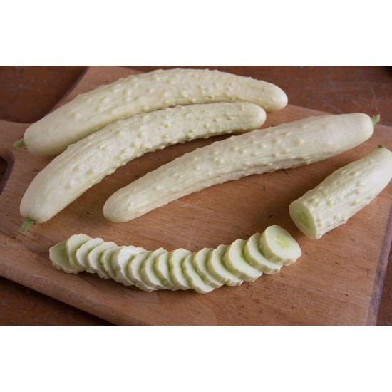 Itachi - (F1) White Cucumber Seeds