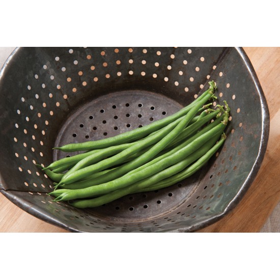 Jade - Organic Bean Seed