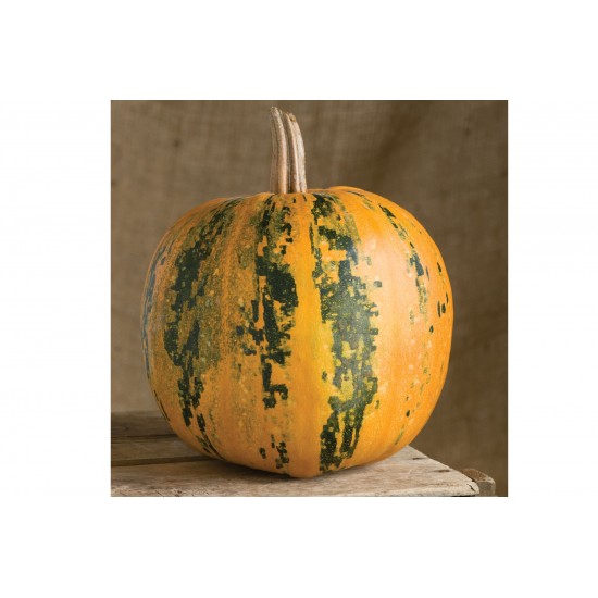 Kakai - Organic Pumpkin Seed
