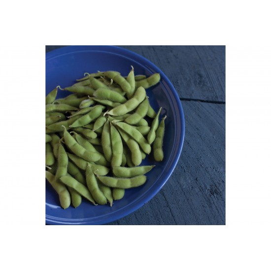 Karikachi - Soybean Seed