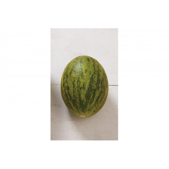 King Show - (F1) Melon Seed