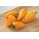 Lunchbox Yellow - Organic Snack Pepper Seed