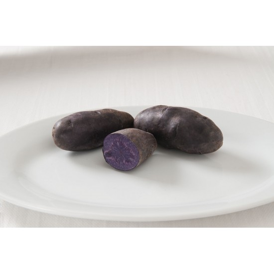 Magic Molly - Purple Seed Potatoes