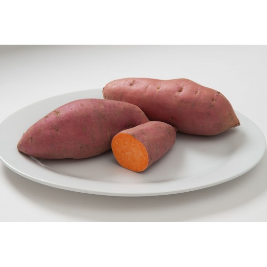 Mahon Yam™ - Organic Sweet Potato Slips