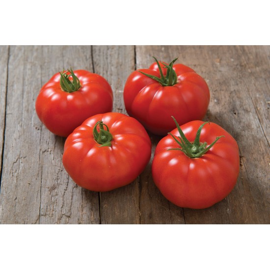 Marbonne - (F1) Tomato Seed
