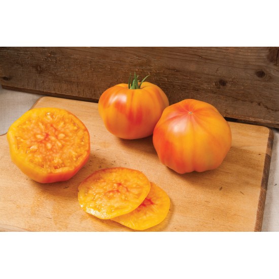 Margold - (F1) Tomato Seed