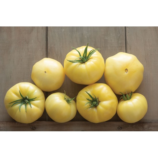Marvori - (F1) Tomato Seed