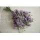 Misty Lavender - Larkspur Seed