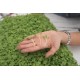 Mizuna - Organic Microgreen Seed