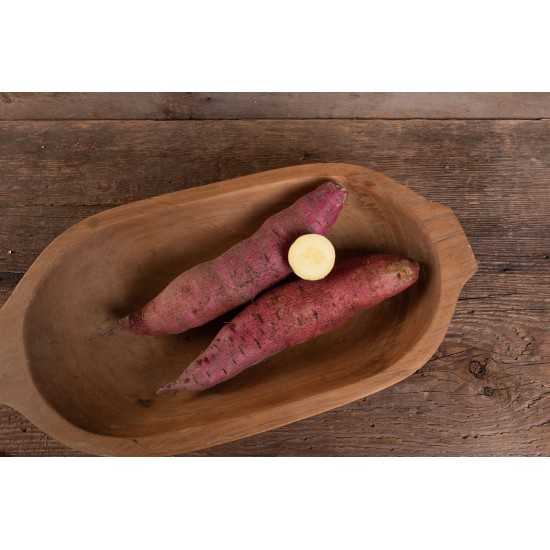 Murasaki - Organic Sweet Potato Slips