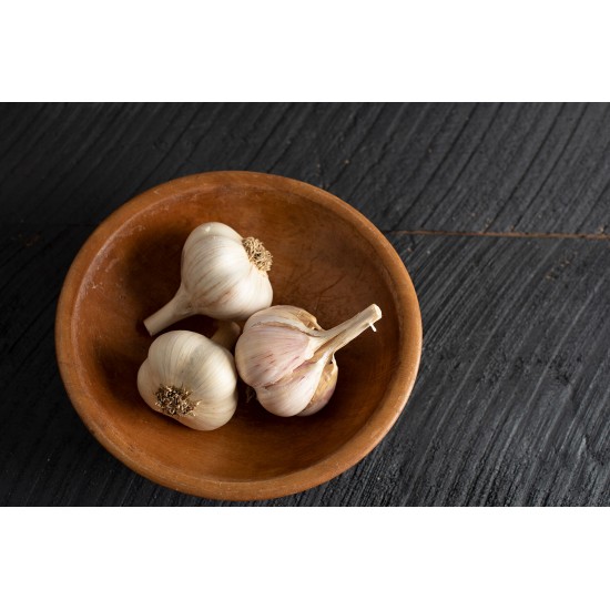 Music - Organic Garlic Bulbs