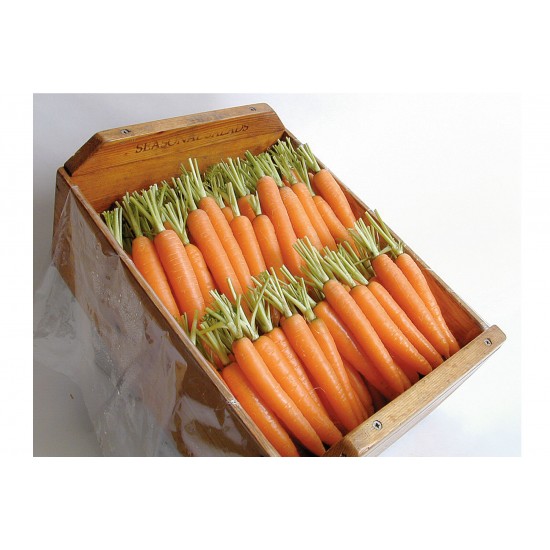 Napoli - Organic  (F1) Carrot Seed