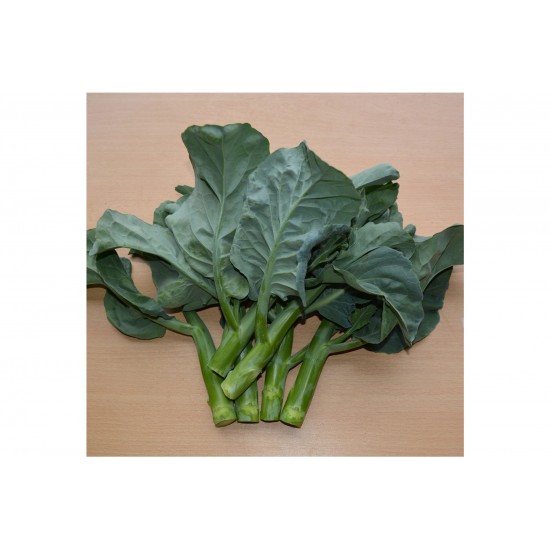 Noble Jade - Chinese Kale/Chinese Broccoli Seeds