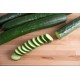 Nokya - (F1) Cucumber Seed