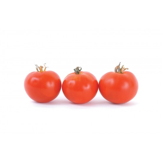Oregon Spring - Organic Tomato Seed