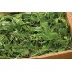 Ovation Greens Mix - Organic Seeds
