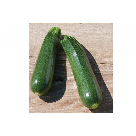 Partenon - Organic Zucchini Seeds