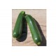 Partenon - Organic Zucchini Seeds