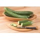 Poniente - Organic (F1) Cucumber Seed