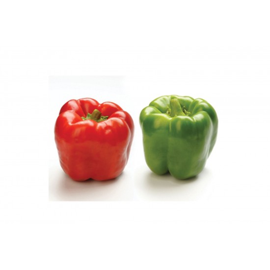 Procraft - Organic (F1) Bell Pepper Seed