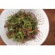 Rainbow Sprinkles Mix - Organic Beet & Chard Microgreen Seeds