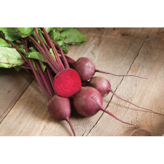 Red Ace - (F1) Beet Seed
