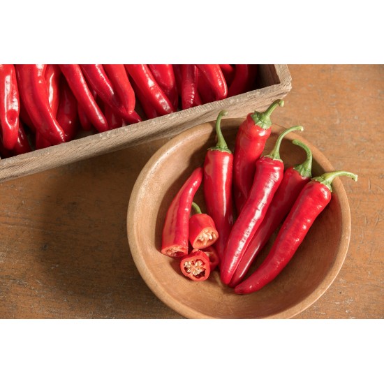 Red Ember - Organic Cayenne Pepper Seeds
