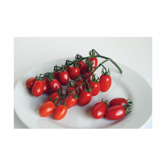 Red Pearl - Organic Tomato Seed