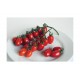 Red Pearl - Organic Tomato Seed