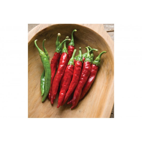 Red Rocket - Organic Cayenne Pepper Seed