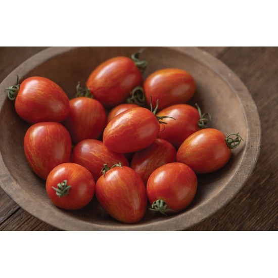 Red Torch - (F1) Tomato Seed