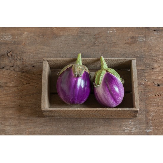 Rosa Bianca - Organic Eggplant Seed