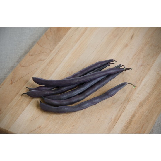 Royal Burgundy - Organic Purple Bean Seeds