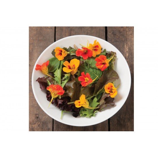Salad Mix Collection - Mesclun Seeds