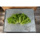 Salanova® Hydroponic Green Sweet Crisp -  Lettuce Seed
