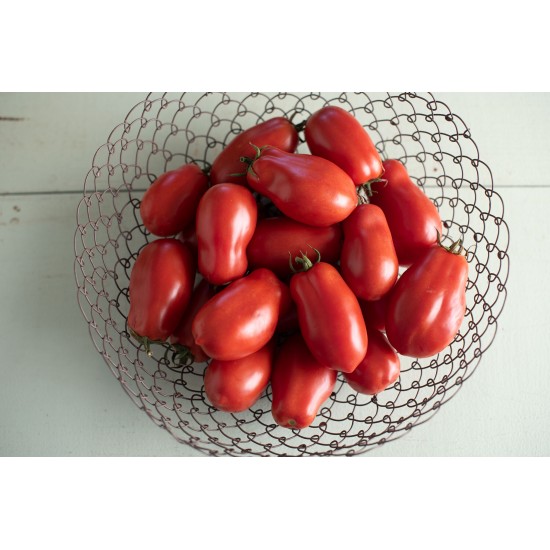 San Marzano II - Organic Tomato Seed