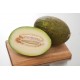 Sapomiel - (F1) Melon Seed