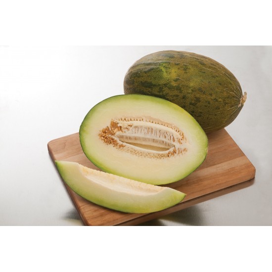 Sapomiel - (F1) Melon Seed