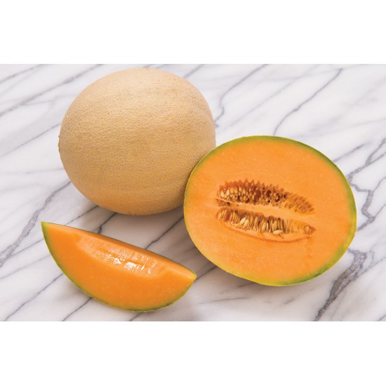 Sarah's Choice - (F1) Melon Seed