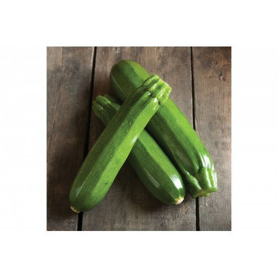 Spineless Perfection - (F1) Zucchini Squash Seed