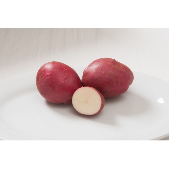Strawberry Paw - Organic Seed Potatoes