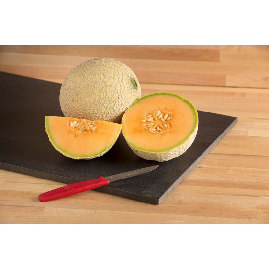 Sugar Cube - (F1) Melon Seed